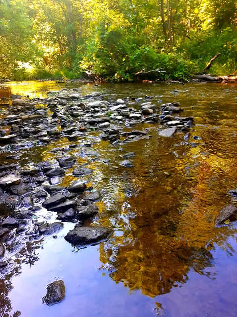 Meadowvale Woods North Park