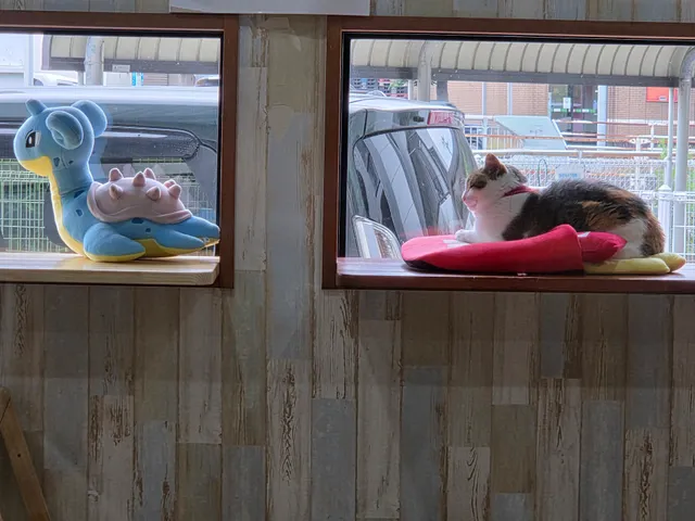 保護猫カフェ ふるふる