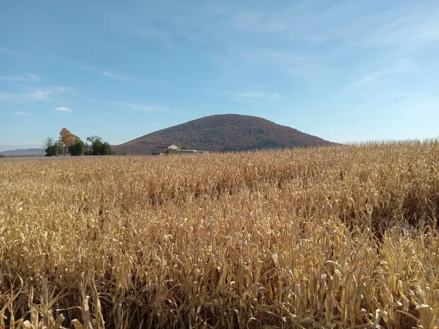 Butcher's Family Fun Farm