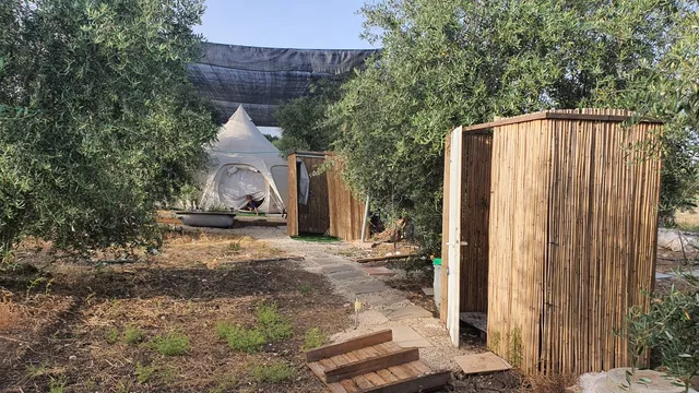 אוהל הזית ארוח כפרי , (ממוזג ומאוורר, בלב מטע זיתים)