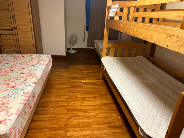 （撮影禁止）シーサーの隠れ家