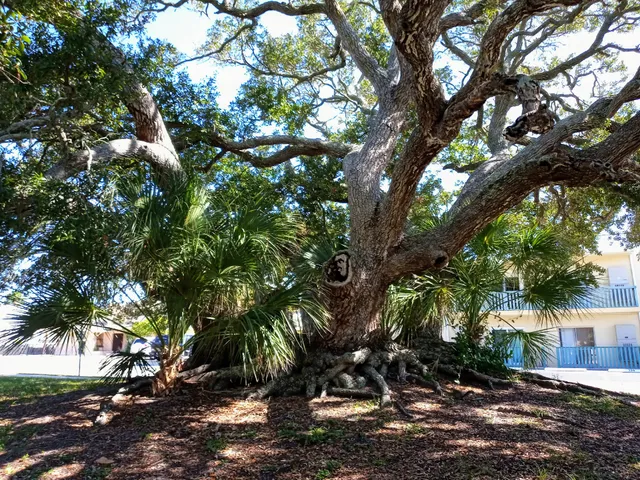 Cape Canaveral Public Library