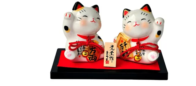 Wuji Xuan Life Wellness – Acupuncture