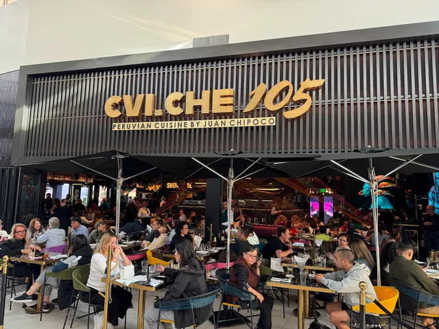 CVI.CHE 105 Boca Raton