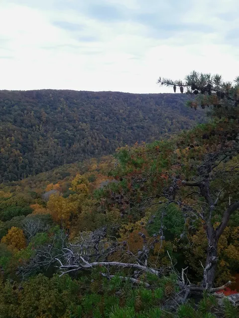 Savage Gulf State Park - East Trailhead and Ranger Station