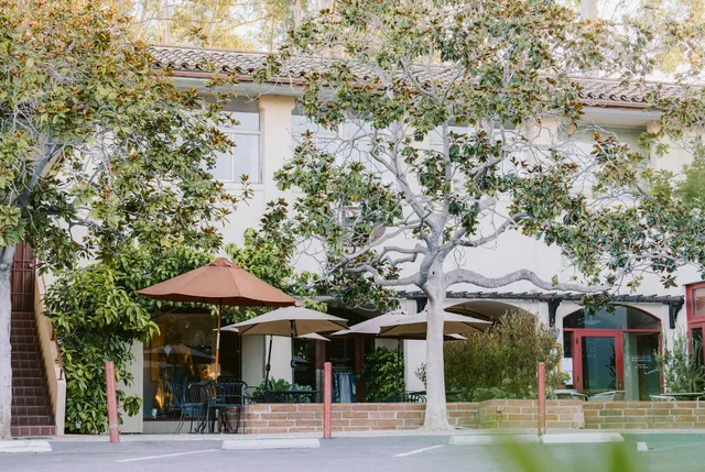 Wendy Foster Sportswear