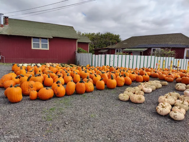 Rodoni Farm Fresh Produce
