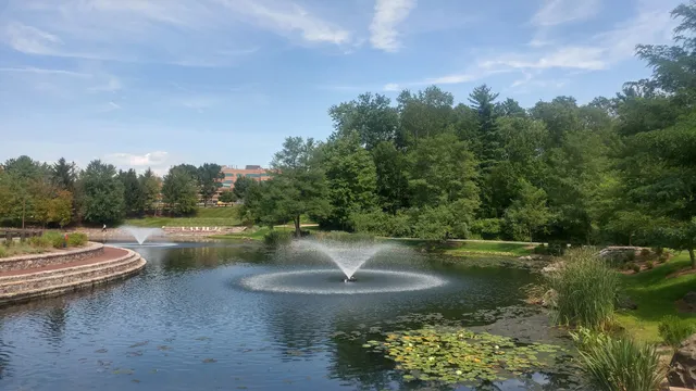 King George Wetlands Preserve