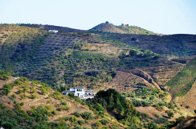 Finca Mariposa