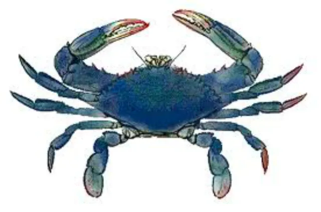Blue Crab Antiques, Inc.