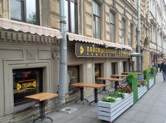 Подстреленная Гусыня