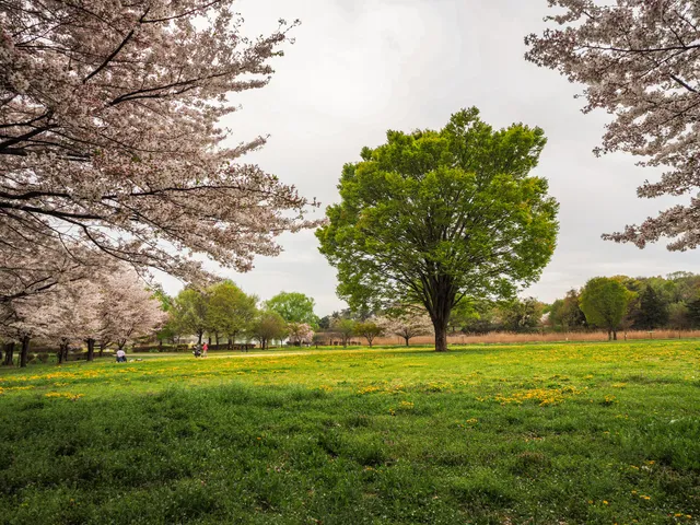Nihon Canpack Ōmuro Park