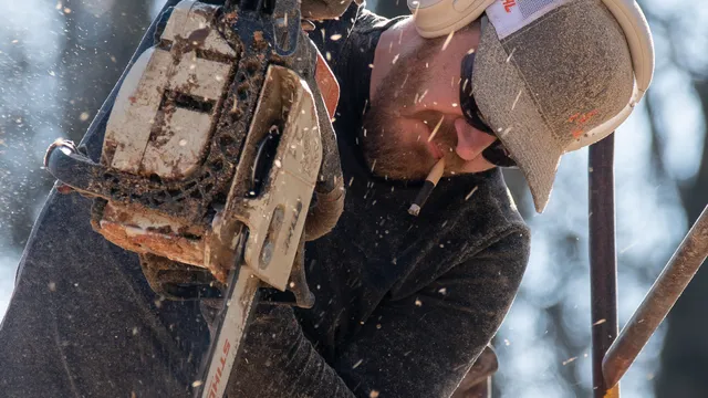 M plus F Creations custom chainsaw carvings