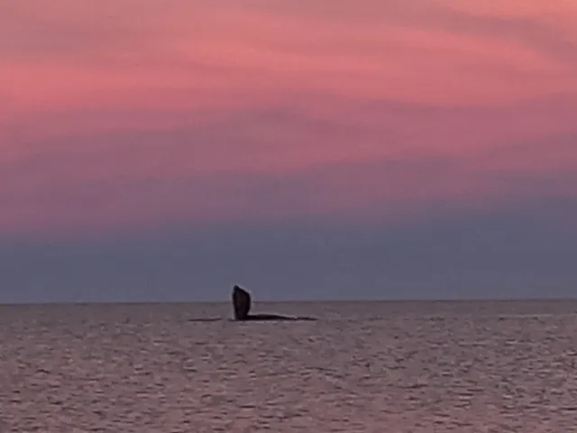 ALMA Departamentos Alquiler por dia Puerto Madryn