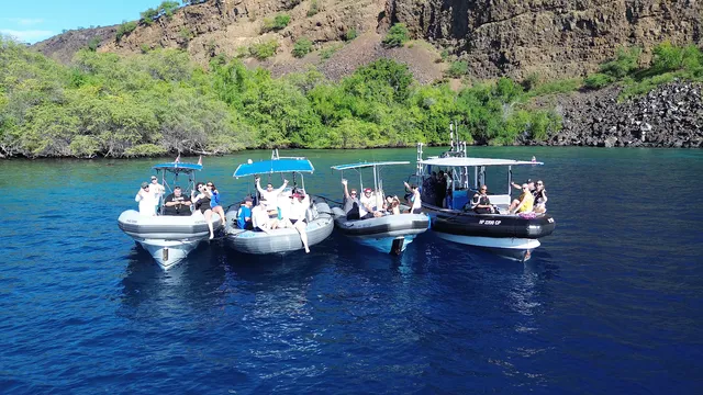 Dolphin Discoveries- Snorkel Tour Check-in and Boutique