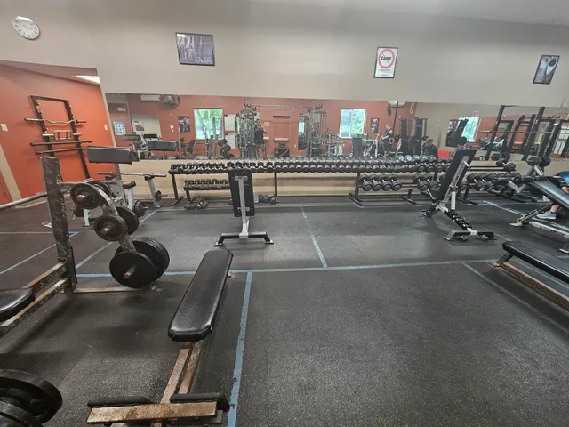 Bloom Health & Fitness