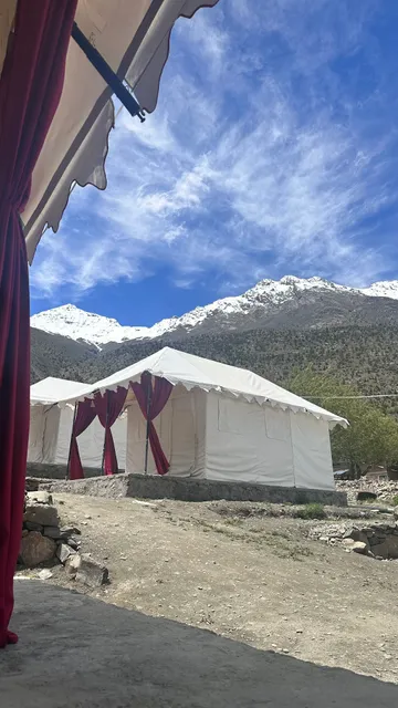 Bored Ape Jispa - Camp Site