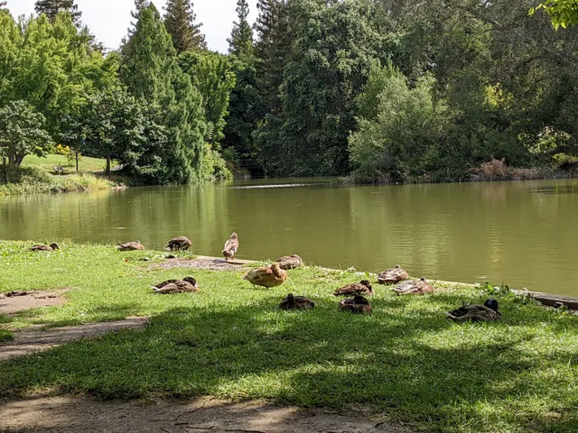 East Asian Collection