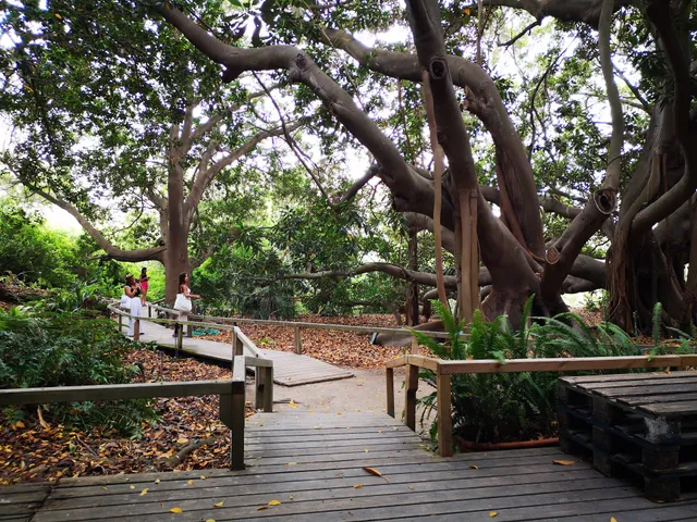 Orto Botanico di Cagliari