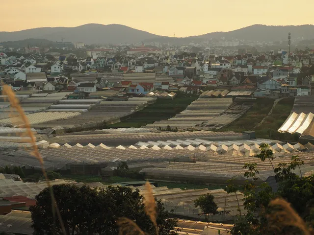 Thai Phien Flower Village