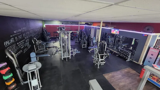 The Body Health and Wellness