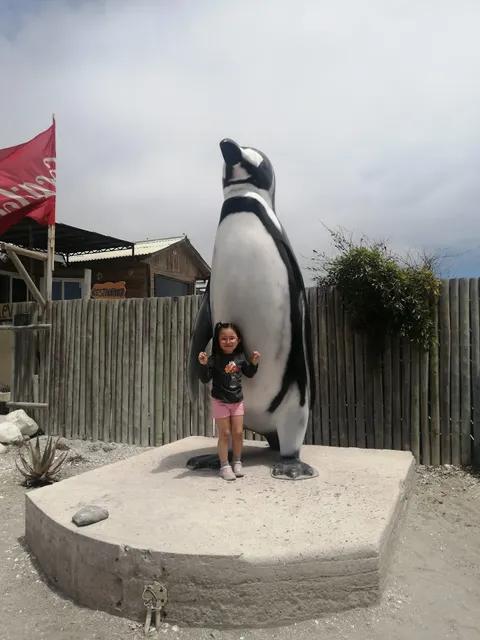 Cabañas Little City