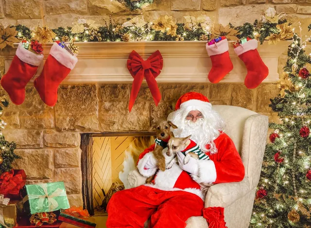 Jaded Roots Boutique