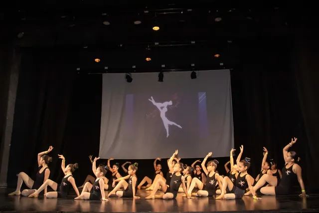 Academia Integral Armonia Perfecta