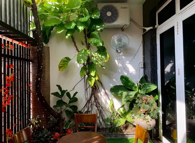 Jungle Dorm Nha Trang