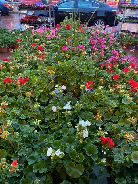 DeConinck Family Farms