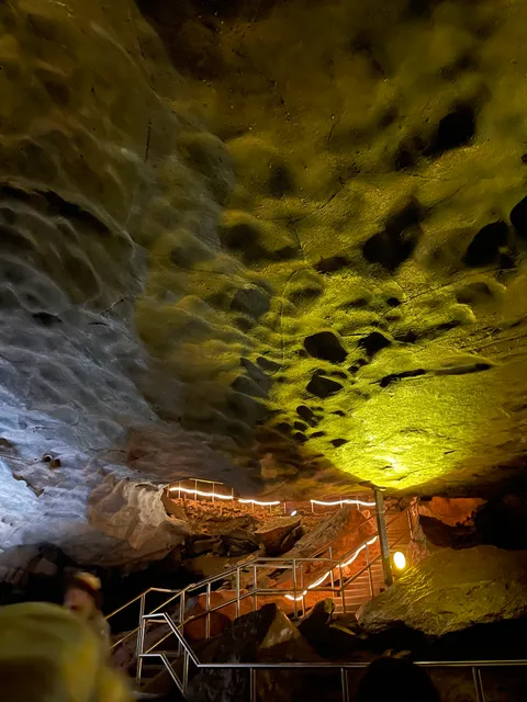 Mammoth Cave National Park