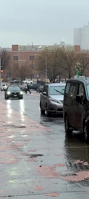 Montefiore Medical Group