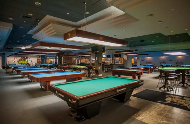 Bison Billiards