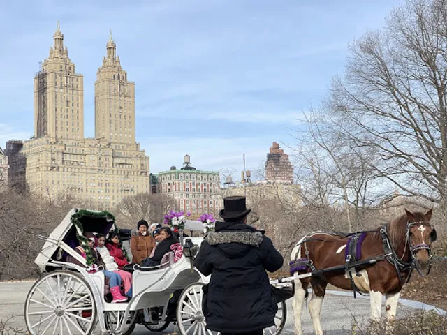 Central Park Paw Tour Agency