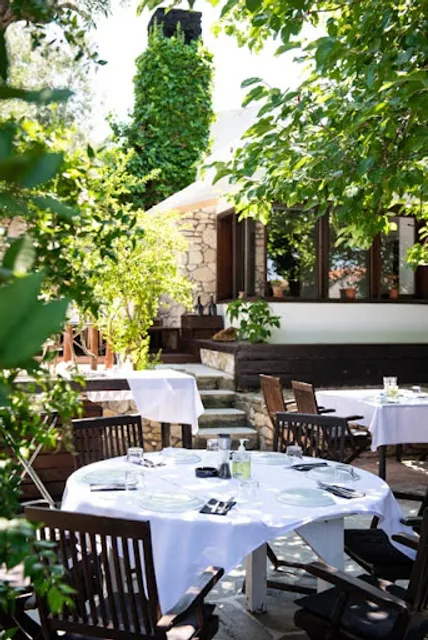 Trizoni Sea Treasures