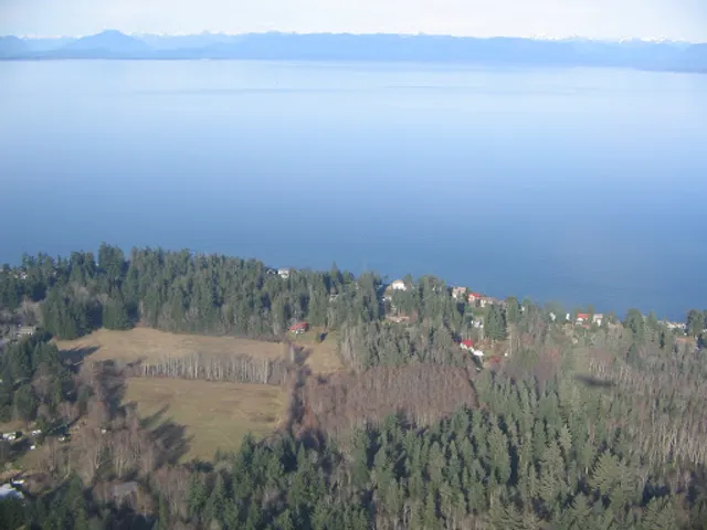 Area D (Oyster Bay/Buttle Lake)