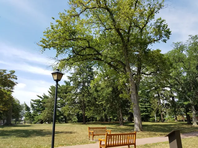 New Jersey Folk Festival