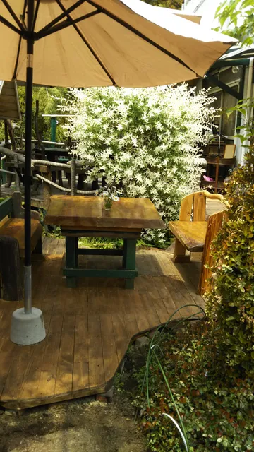 ドッグカフェ散歩の途中