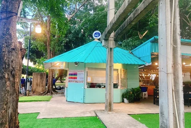 Zaapteamchad Papaya Salads