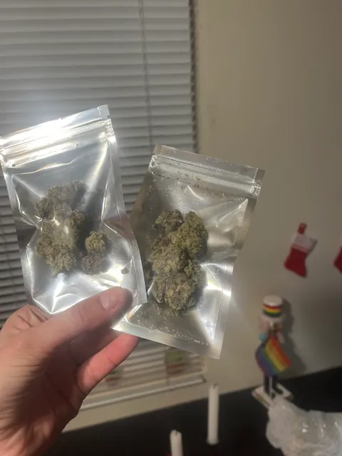 A Lion's Heart Collective