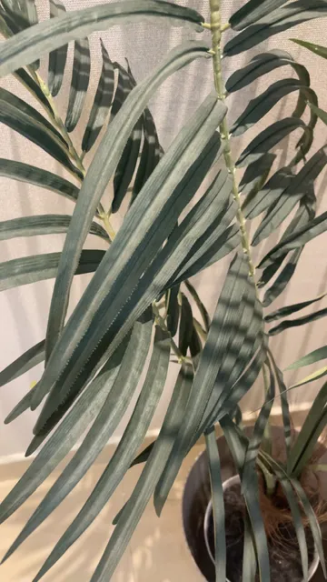 شقه استديو انيق بدخول ذاتي