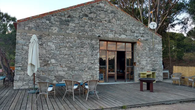 Uva do Monte - Blueberry Farm