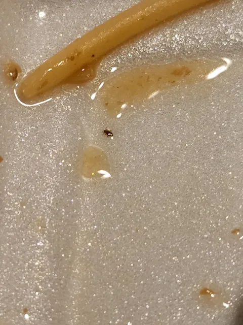 China Garden Restaurant