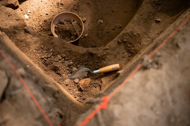 The Archaeological Research Institute