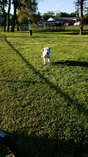 Lynnewood Gardens Dog Park