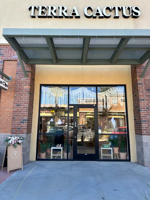 Terra Cactus Boutique