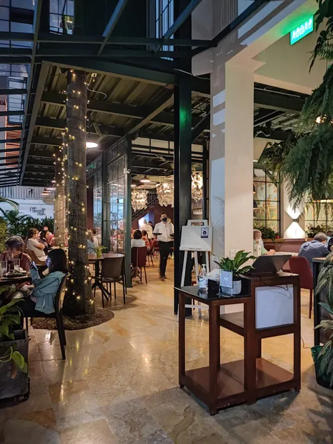 Platillos Voladores Ciudad Jardín