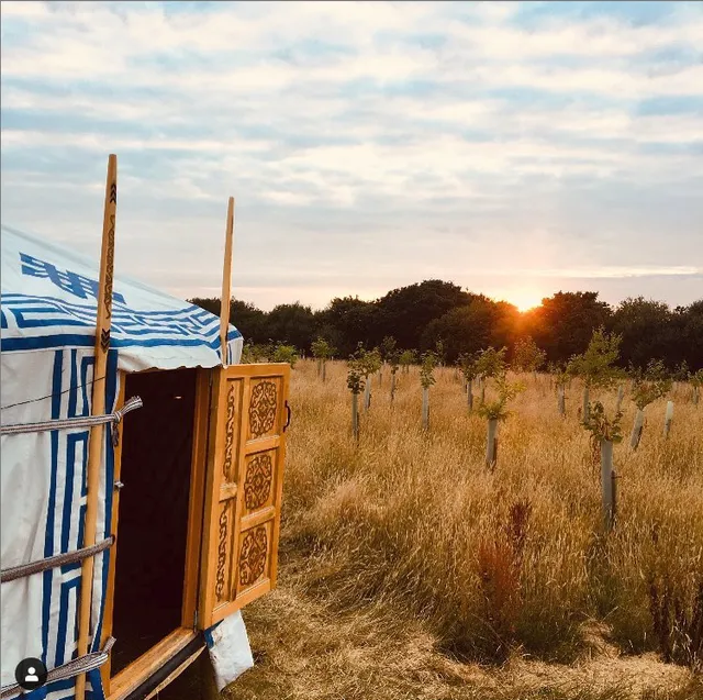 Kents of Cornwall Yurts