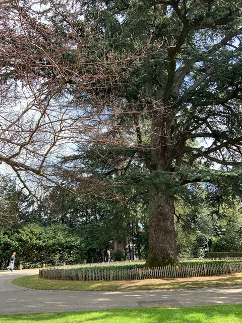 photo-3