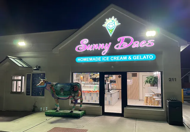 SunnyDaes Ice Cream